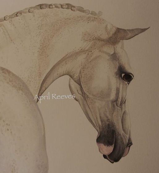 April Reeves Equine Art "The Healer"